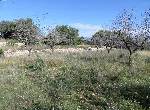 Plot of Land in Cervera del Maestre